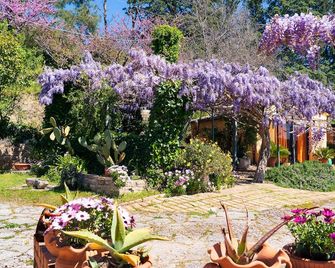 B&B Glicine - Ancône - Extérieur