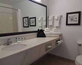 Country Inn & Suites by Radisson, Indy Air South - Indianápolis - Casa de banho