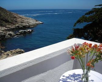 Casa Wilson - Zapallar - Balcony