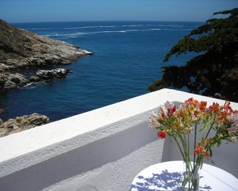 Casa Wilson - Zapallar - Balkon
