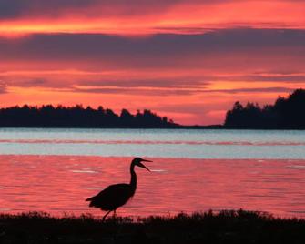 Skylite Motel - Parksville - Beach