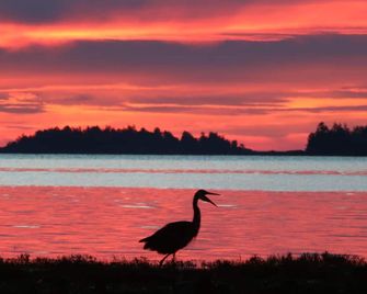 Skylite Motel - Parksville - Plage
