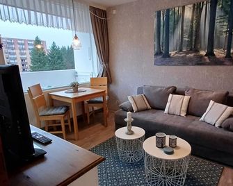 Pure resin romance; Time out for 2 persons; feel good and relax - Altenau (Niedersachsen) - Living room