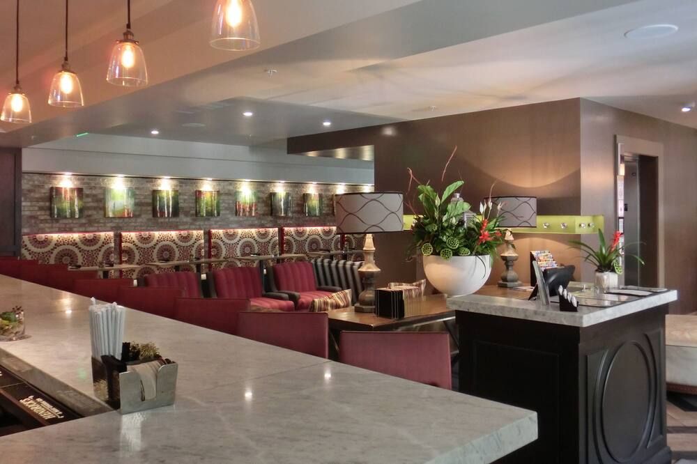 The Birchwood - St. Petersburg