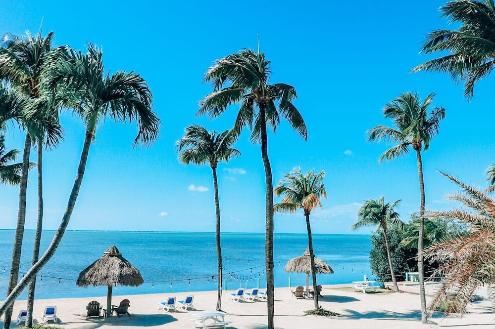 Drop Anchor Resort & Marina - Islamorada - Plaj
