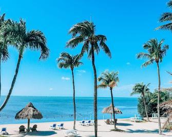 Drop Anchor Resort & Marina - Islamorada - Beach