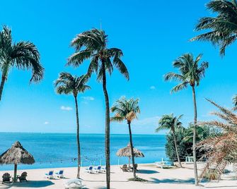 Drop Anchor Resort & Marina - Islamorada - Plaj