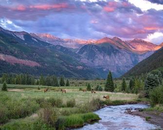 Charming Studio w Kitchenette, Hot Tub Near River condo - Telluride - Outdoors view