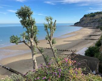 Hope Cottage - Shanklin - Beach