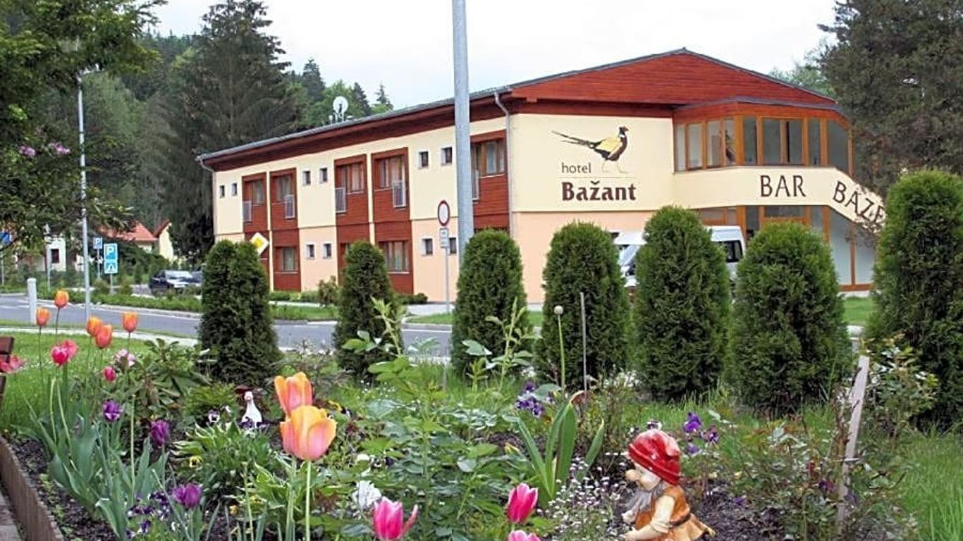 Hotel Bazant