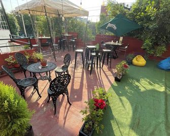 Hostal Roma Condesa - Ciudad de México - Patio