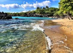 Tropical hideaway near Kehena Black Sand Beach with WiFi & washer/dryer - Pahoa - Beach
