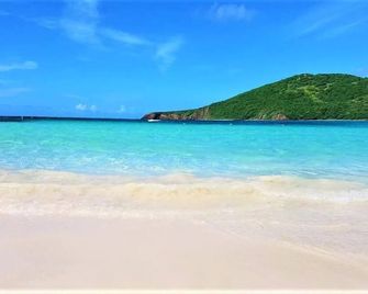 A Slice of the Rainforest! Near El Yunque and Beaches, Rio Grande Puerto Rico - Rio Grande - Beach