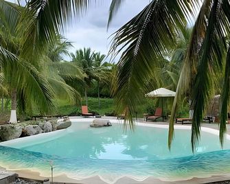 Casa Las Palmas Playa La Saladita - Zihuatanejo - Pool