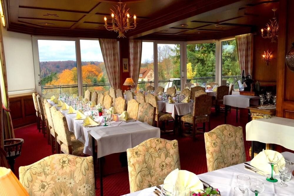 Logis Hôtel-Restaurant Aux Trois Roses - La Petite-Pierre