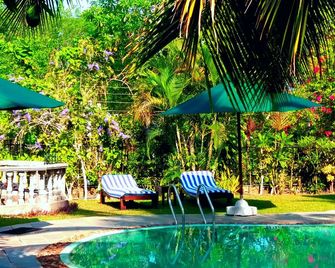 Asian Jewel Boutique Hotel - Hikkaduwa - Pool