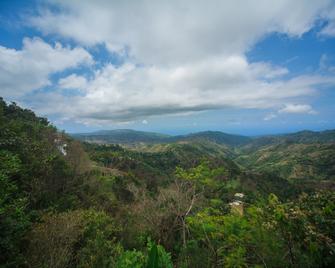 Auberge Du Mont Saint Jean - Jacmel - Building
