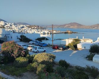 Despina's Mare - Naousa