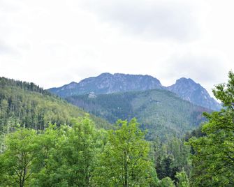 Willa Halka - Zakopane - Restaurant