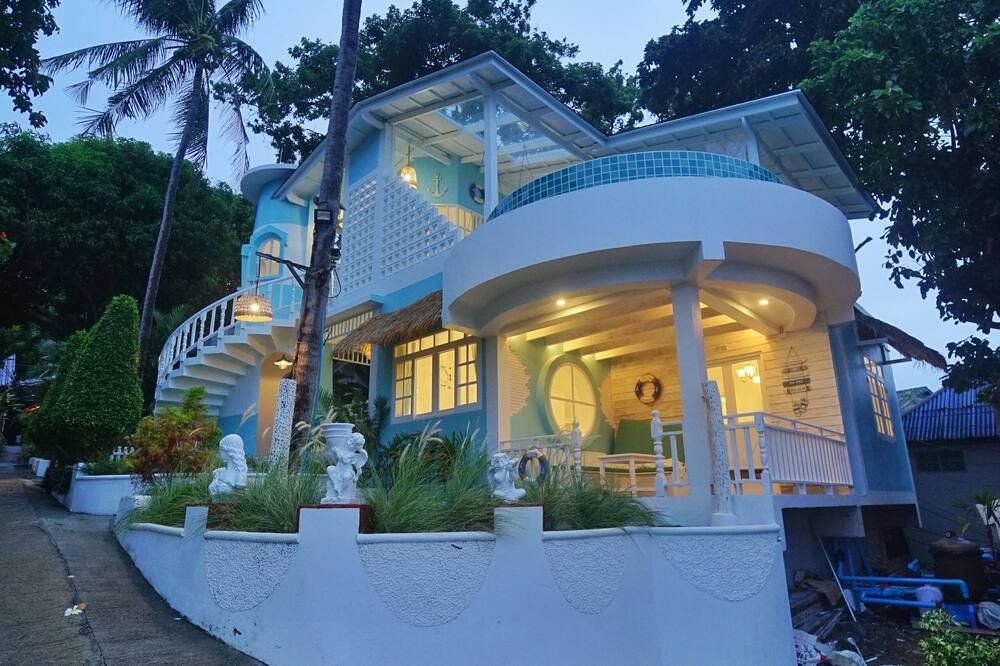 دي دي هوت كو تاو