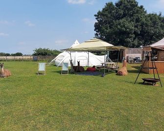 Glamping with Llamas in Valentina Stargazer Belle - Wisbech - Patio