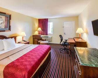 Rodeway Inn & Suites Hwy 290 Nw - Houston - Bedroom