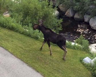 Ski-InandSki-Out Solitude Condo with Rooftop Hot Tub! - Salt Lake City