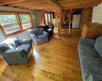 Peaceful and Private A-frame in the woods, not far from Elk Mountain Ski Resort! - Susquehanna - Living room