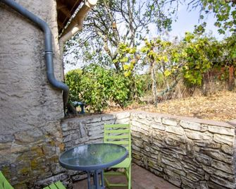 Maison 40m² dans Vallée de l'Auvézère, animaux acceptés - FR-1-616-91 - Cubjac-Auvézère-Val d'Ans - Patio