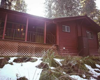 Cedar at Rainier Lodge (0.4 m from Mt.Rainier) - Ashford - Building