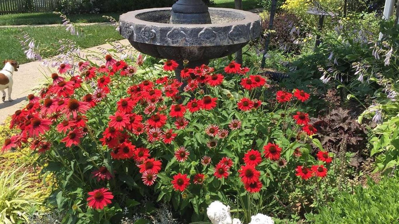 The Destination B&B llc