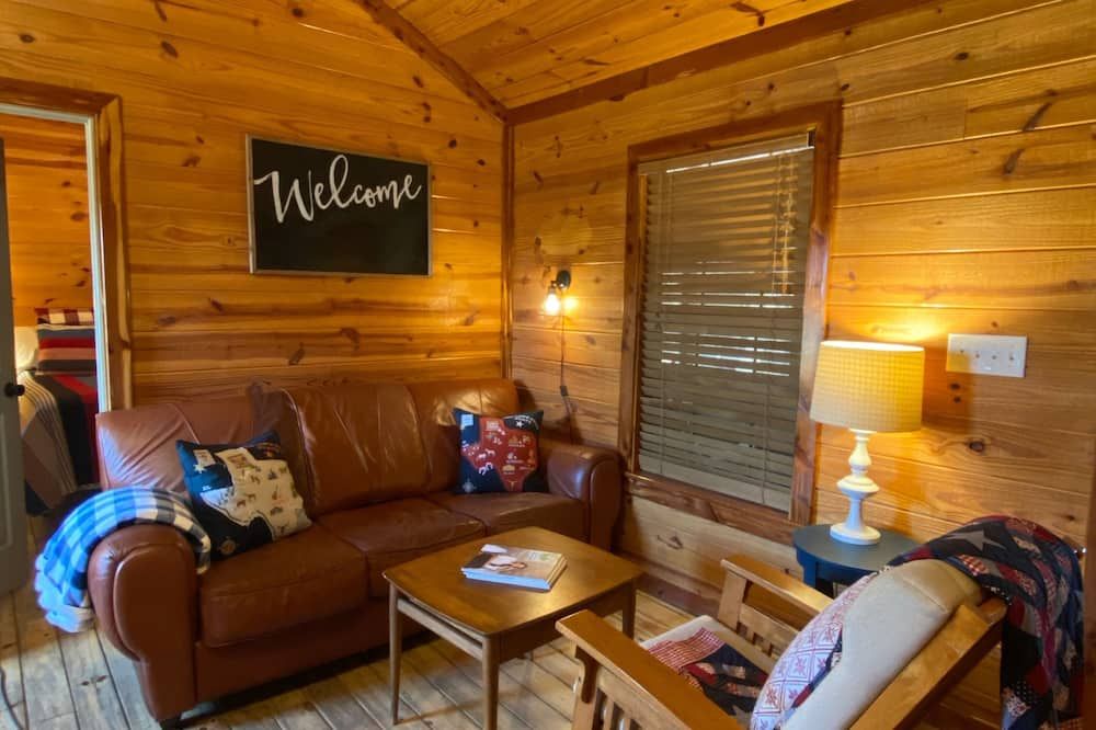 Open modern Cabin, fishing, shooting range, tranquil/private, firepit, 4W, canoe - Bridgeport - Huiskamer