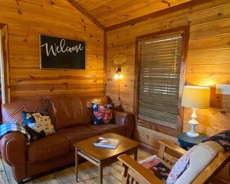 Open modern Cabin, fishing, shooting range, tranquil/private, firepit, 4W, canoe - Bridgeport - Living room
