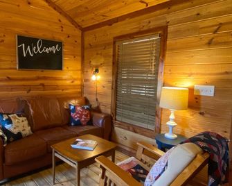 Open modern Cabin, fishing, shooting range, tranquil/private, firepit, 4W, canoe - Bridgeport - Huiskamer