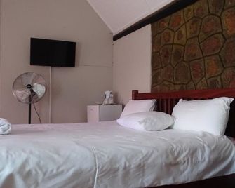 Lodumo Guesthouse B & B - Bulawayo - Bedroom