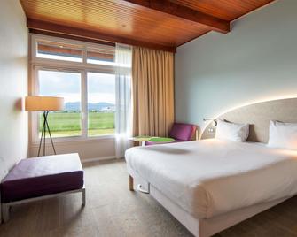 Ibis Styles Colmar Nord - Colmar - Dormitor