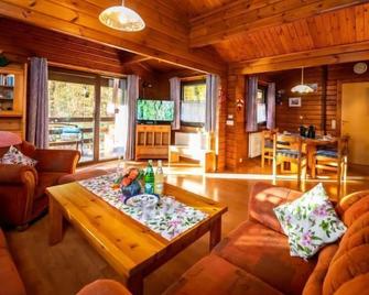 Chalet Haus 57 Wald Eck by Interhome - Bad Arolsen - Living room