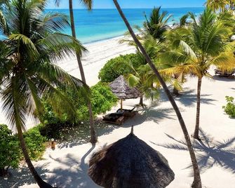 Kijani Beach Villas - Bwejuu - Strand