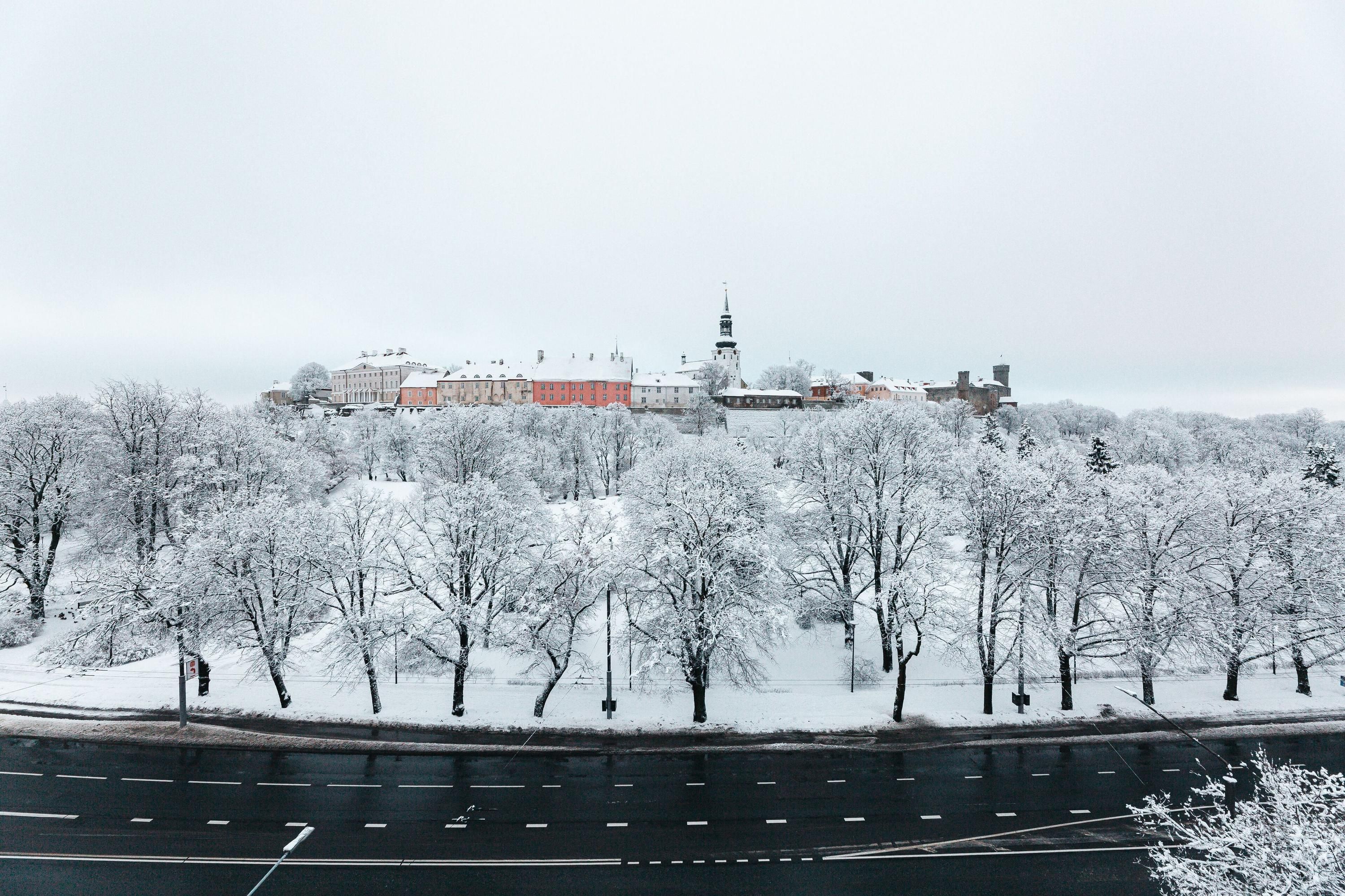 جو هوتل شنيلي
