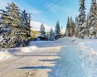 Snowblaze Studio - Winter Park - Näkymät ulkona