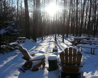 One of a Kind, Private, Beautiful Rustic Cabin in the Laurel Highlands - Champion - Property amenity