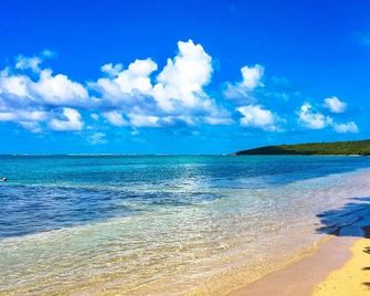 Breathtaking Ocean Views! Large, Private/Renovated Condo! A Hidden Coastal Gem! - Fajardo - Strand