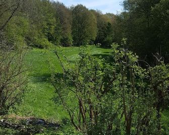 Ferienwohnung in der Stegwiese - Kaisersesch - Вигляд зовні