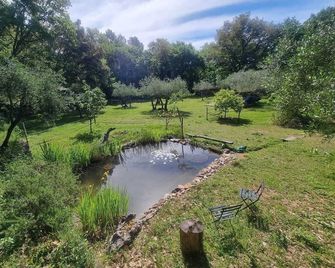 Chalet avec piscine privée dans la forêt - Bagnols-en-Forêt - Outdoors view