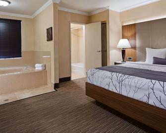 Best Western Hollywood Plaza Inn Hotel - Hollywood Walk of Fame LA - לוס אנג'לס - חדר שינה