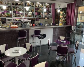 Hotel Alendouro - Macedo de Cavaleiros - Bar