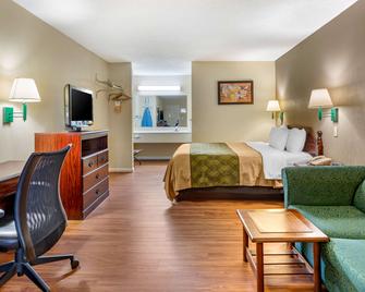 Econo Lodge Inn & Suites Southeast - La Vergne - Bedroom