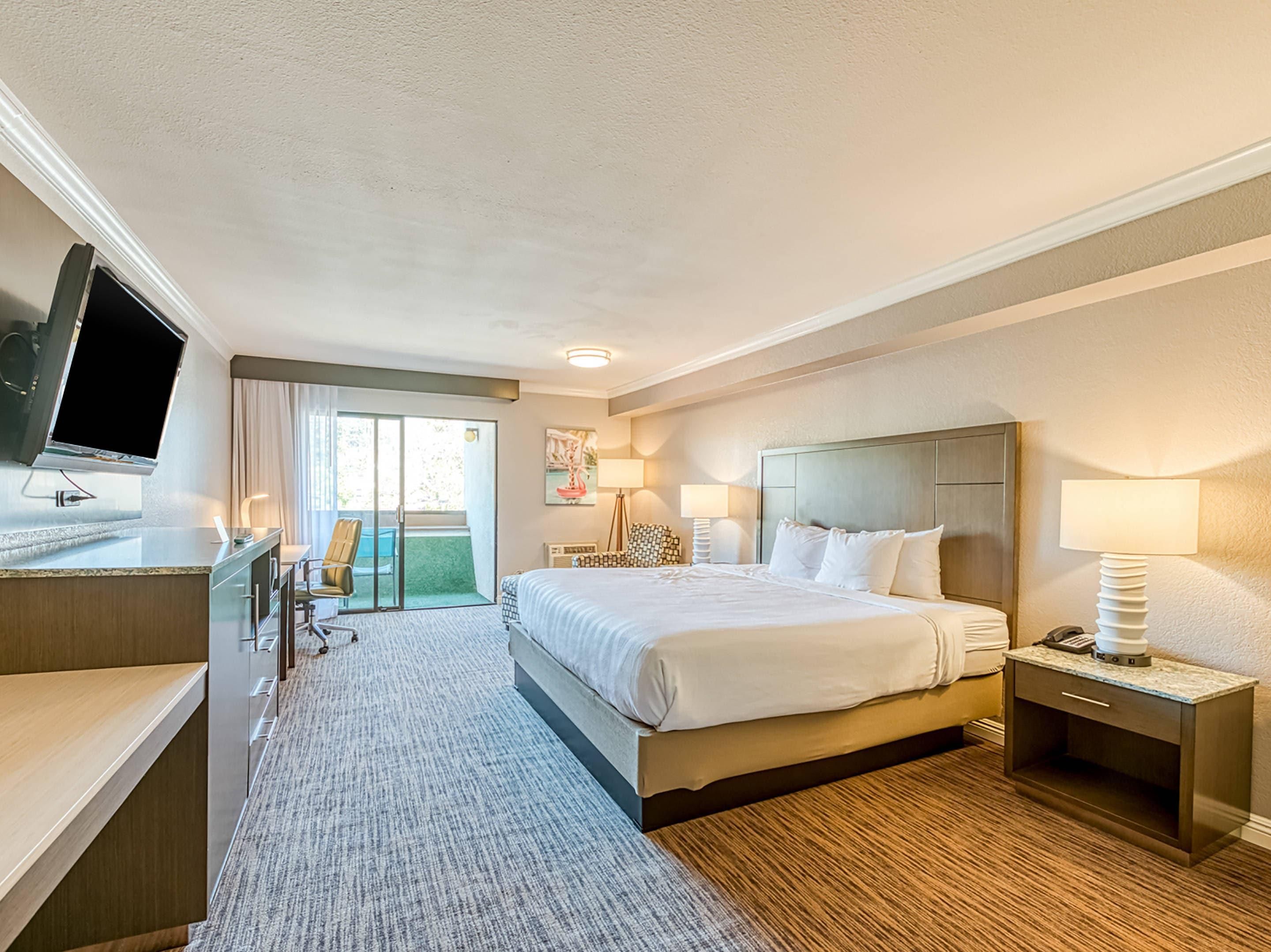 أمانزي هوت ، آن أسيند كوليكشن هوتل