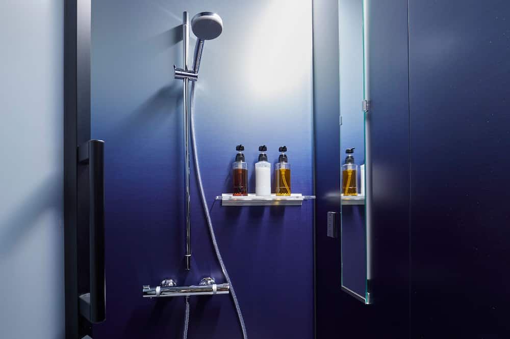 Room amenity view of Agora Kyoto Shijo