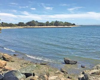 Large Cottage Near SF, Beach, Airport w/Backyard - Alameda - Beach